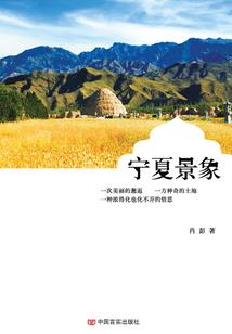 银面公主