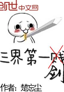 我的老婆是一本书
