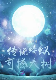 蒙面琴师灵猫行