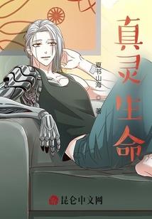 轮回路之人间行