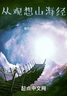 宠物小精灵之随意