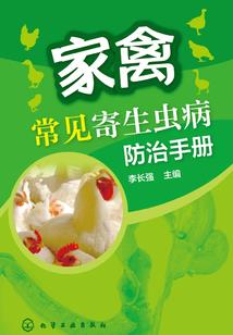 龙聚江湖
