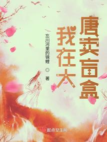 暗恋续曲