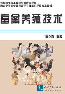 身化万物，我在修仙界当老六