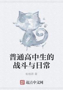 斗气大陆穿越记