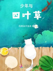 灰岛