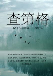 讨厌恋爱的365天
