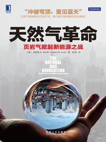 倾世佳人异界游