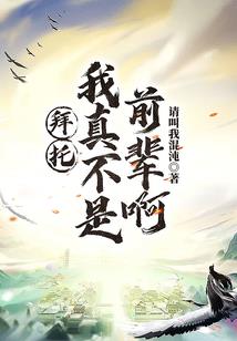 云玩家穿越到宝可梦