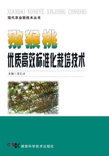 大楚群英传