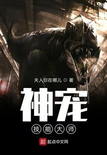 永远的见习魔法师