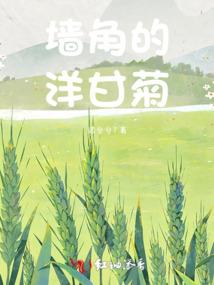 海贼许愿万世荣光