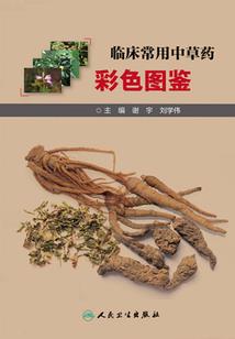 东北往事，苦命的母亲！