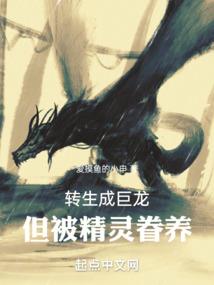 夕阳的你不再是我的梦