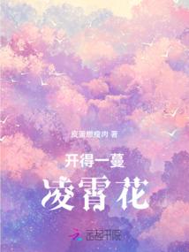 葫芦岛争夺战