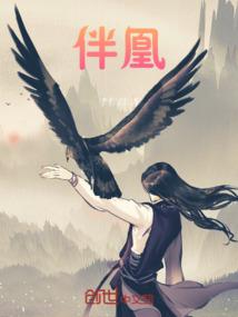 数码骑士