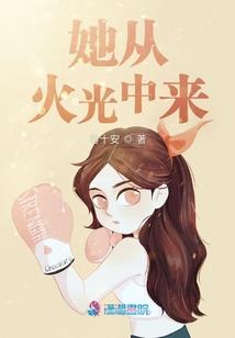 平凡司机