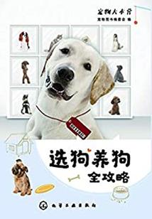 战旗天下