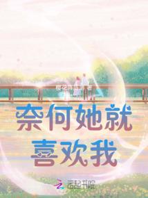 位面大公司