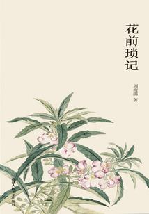 五个阴阳先生