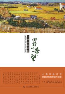 指缝间的流光