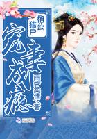 游历不一样的假面骑士