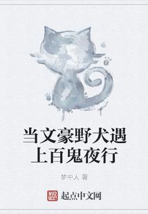 勇者亚尔维斯传