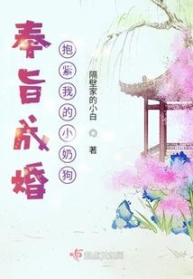胡天山传