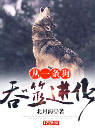 1005的爱情