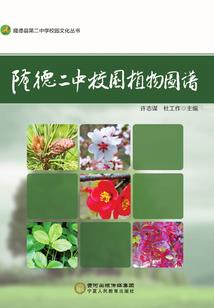 梵火之恒纪元
