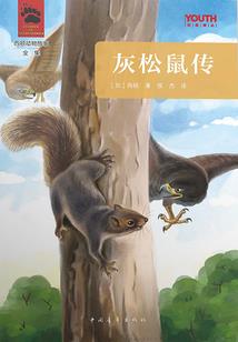 那一次遇见，就成了结局