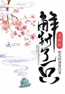 神所制定的规则