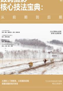 公子请施针