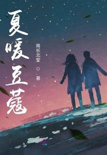迷踪暗影