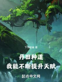 夕阳下的容颜