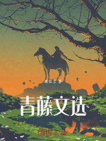 臣本红妆，陛下不解风情