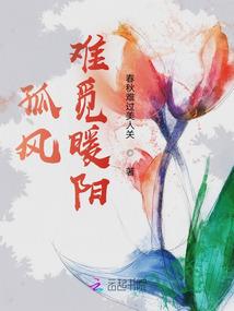 米斯大陆