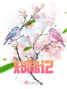 梦想支点：外来妹