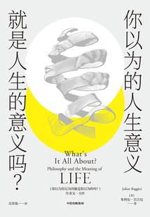 我只是一个，御符师
