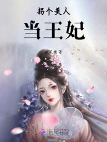 网剧起点小说