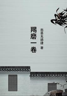艾瑞的来世今生