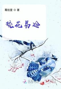 我，木叶新任火影
