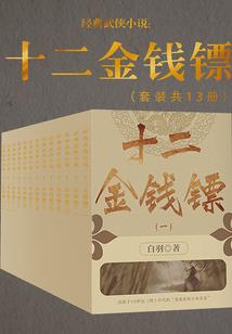 神奇宝贝之火龙传