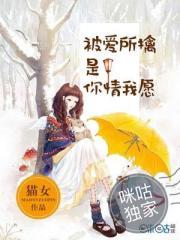 大宋帝英传之鹊桥仙