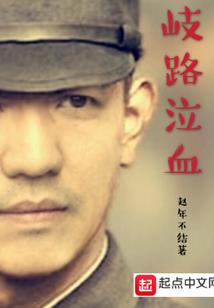 乱世妃与侠