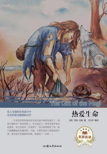 球球的神奇恋爱日记