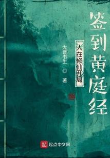 一个客人，我的爱人