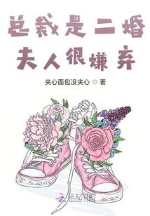 那夜雪落无声