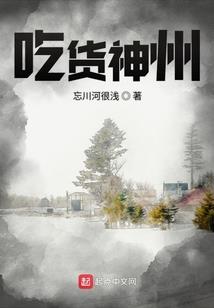 圣兽之力
