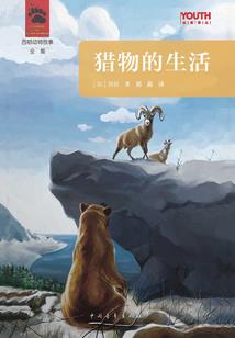 地魂传奇